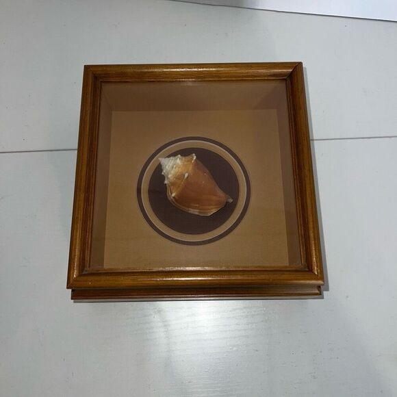 Vintage Sea Shell Framed in Oak Shadow Box Matted Glass Front Nautical Beach - Picture 1 of 6